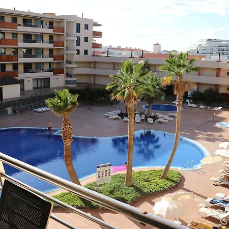 Girasol Puerto de Santiago (Tenerife)