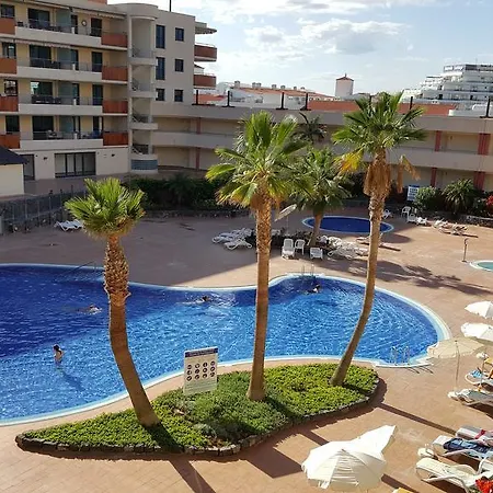 Girasol Puerto de Santiago (Tenerife)